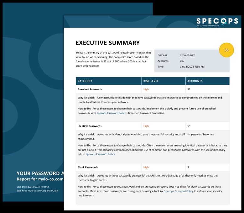 SPAPDFReportImage-English.jpg.68c5ac3477e3def5178d7445587f3ca2.jpg