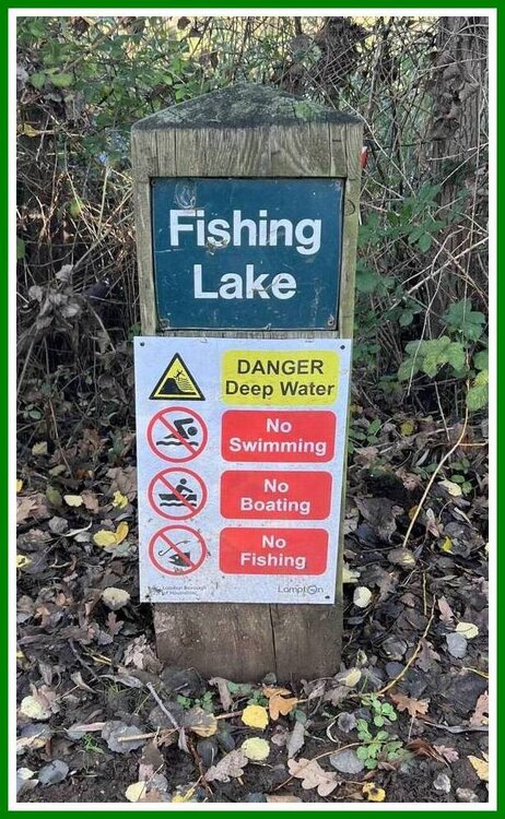 (No) Fishing Lake.jpeg
