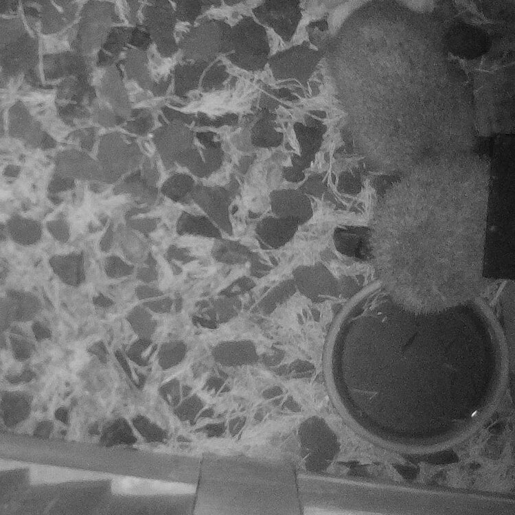 093925B2-C713-476A-AAC5-3FA874883824.jpeg
