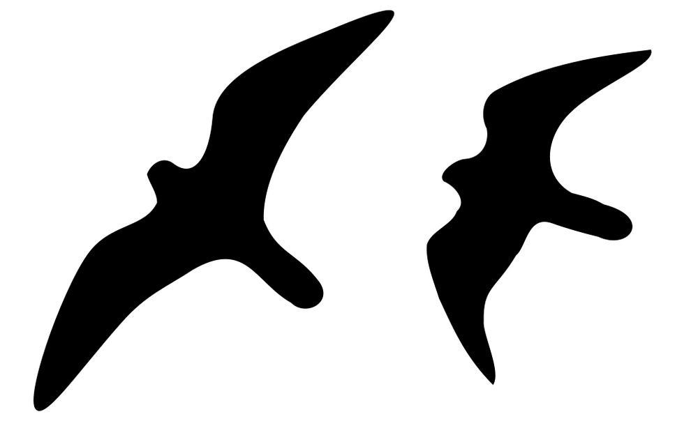 1024px-PeregrineFalconSilhouettes.svg.png