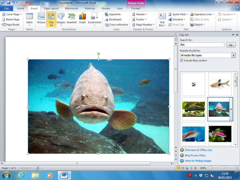 2010fish.png