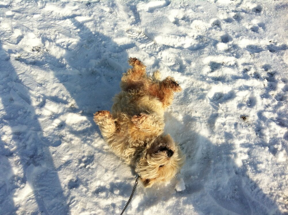 2012-02-11 10.14.14.jpg
