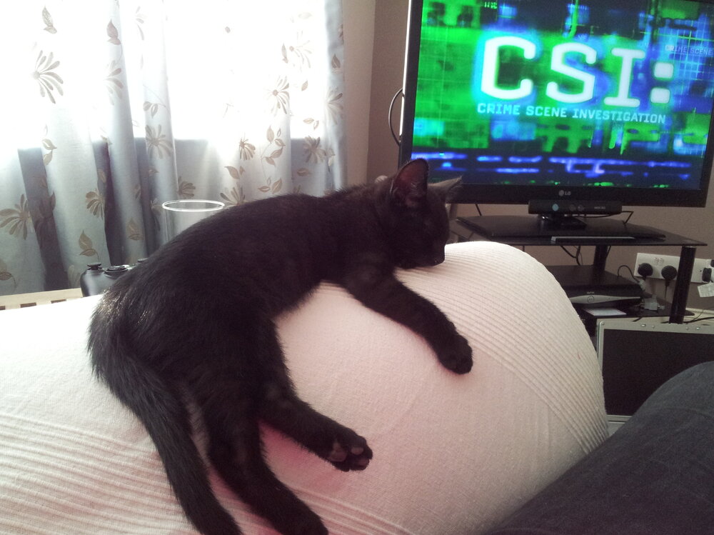 20120725_190212.jpg