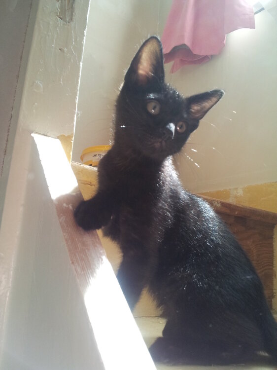 20120805_122932.jpg