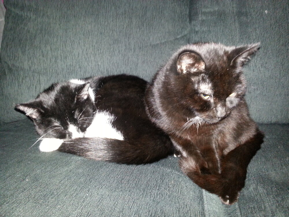20130112_210632.jpg