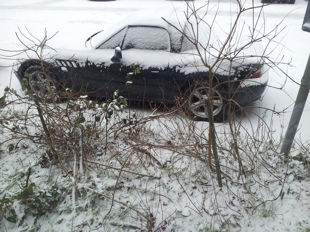 20130118_113337.jpg