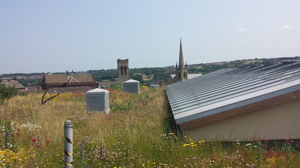 20130705_131426.jpg