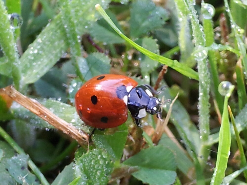 20130807_110502[1].jpg