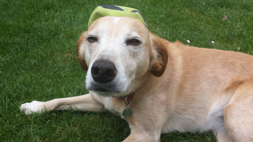 20130815_122741.jpg