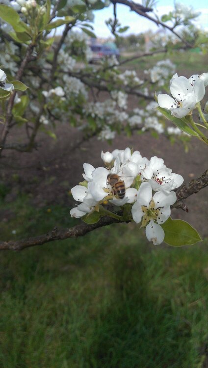 2014-04-13 11.18.22.jpg