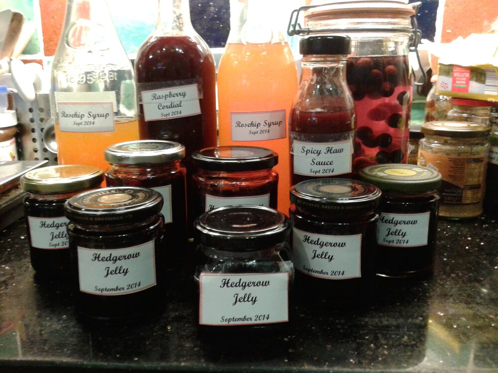 2014-09-26 - Autumn Preserves (2).jpg