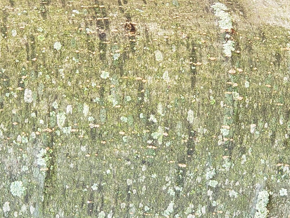 20191006_154530.jpg