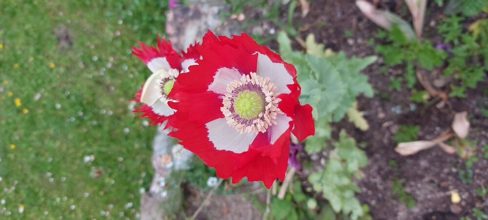 20220624_074133.jpg