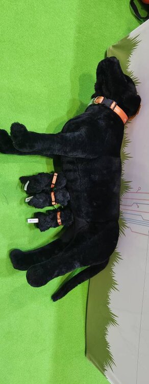 20230331_153418.jpg