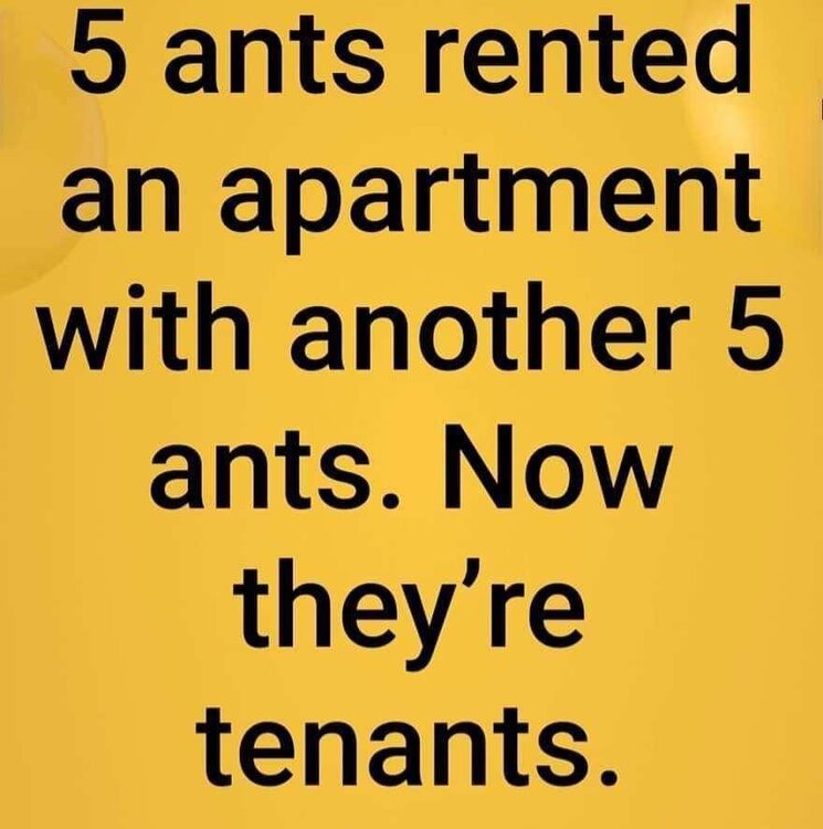 20240223_162712214_iOS.jpg