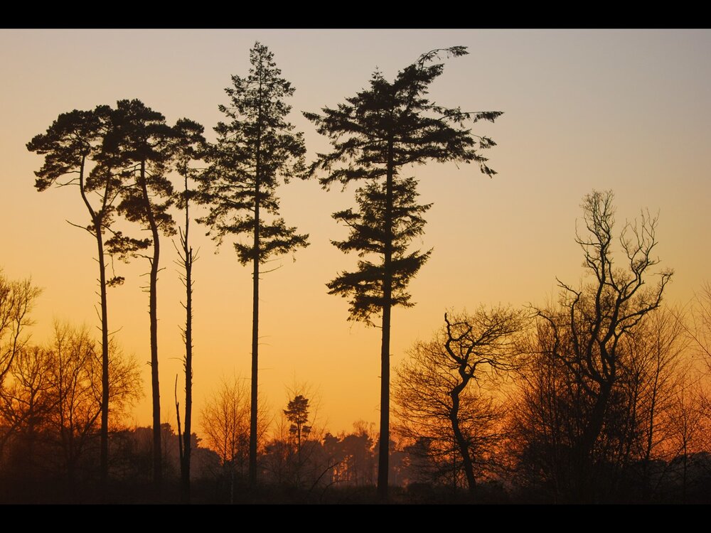 2_Winter Sunset.jpg
