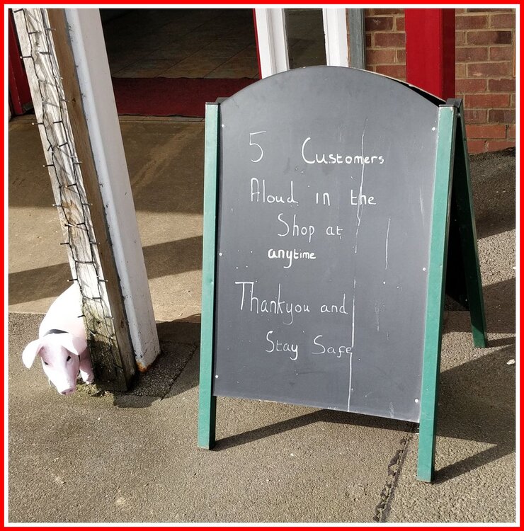 5 Customers.jpg