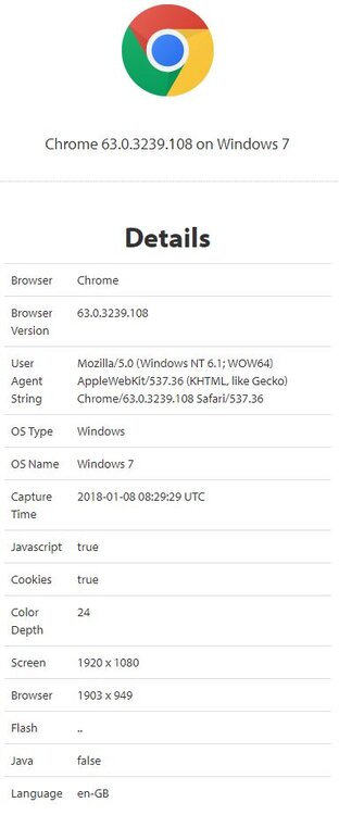 About My Browser.JPG
