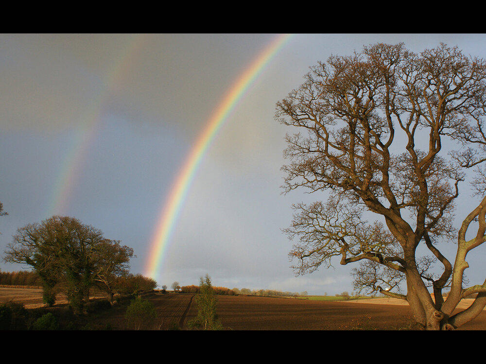 After-the-rain.jpg