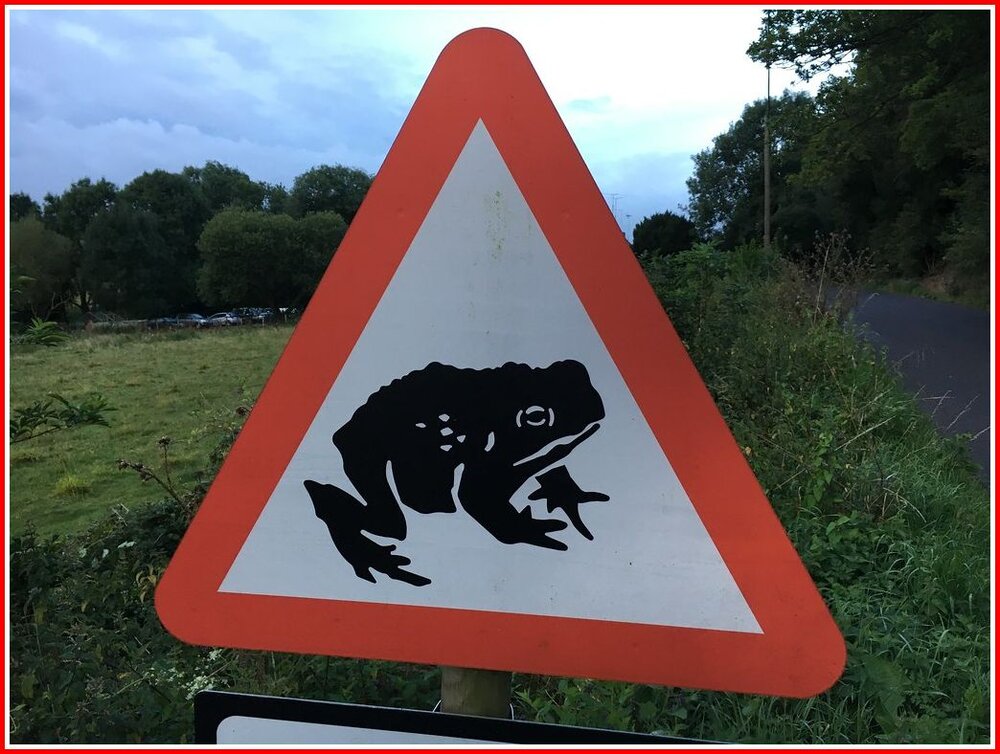 Amphibian Sign.jpg