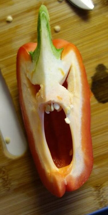 Angry Shouting Pepper.jpg