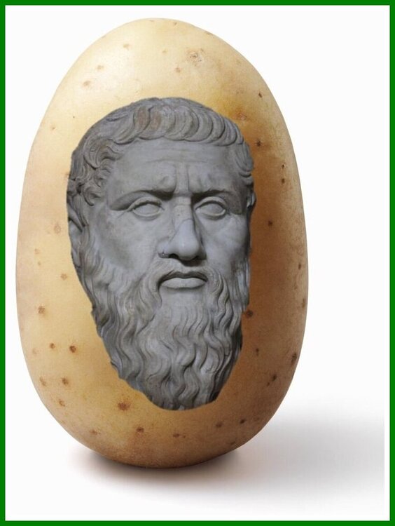 Another 'Foody' One.jpeg