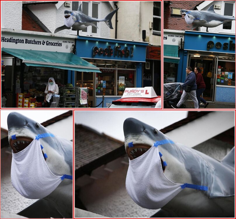 Another Headington Shark.jpg