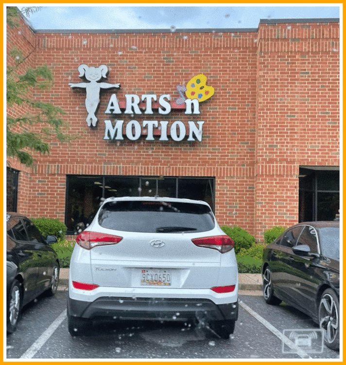 Arts N Motion.gif