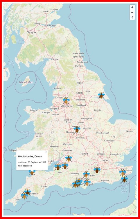 Asian Hornet UK Interactive Sightings Map.jpg