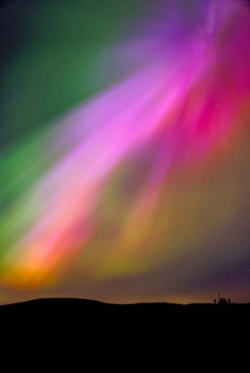 Aurora-Weardale-2.jpg
