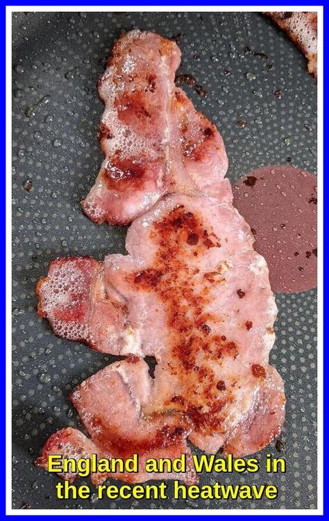 Bacon England And Wales.jpeg