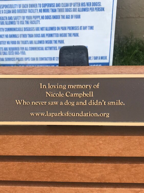 Badly Phrased Memorial Bench.jpg