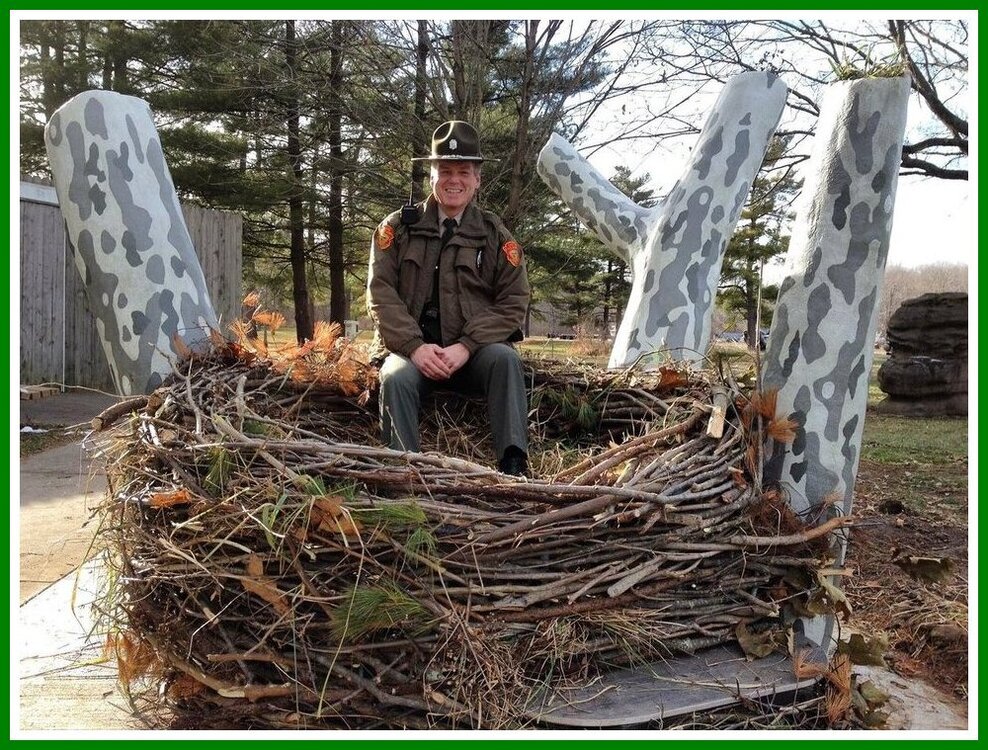 Bald Eagle Nest.jpeg