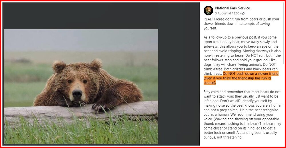 Bear Warning.jpg