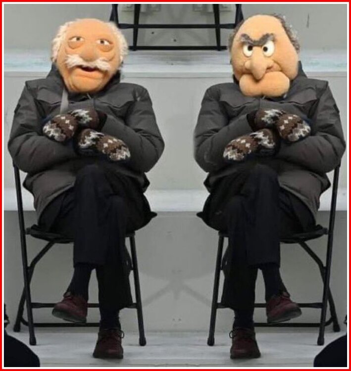 Bernie Statler and Waldorf.jpg