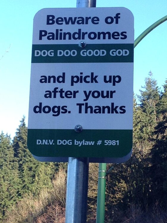 Beware of Palindromes.jpg