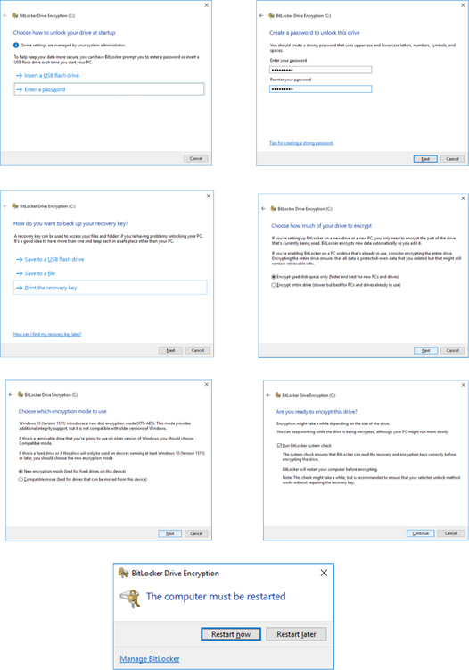 Bitlocker Encryption.png