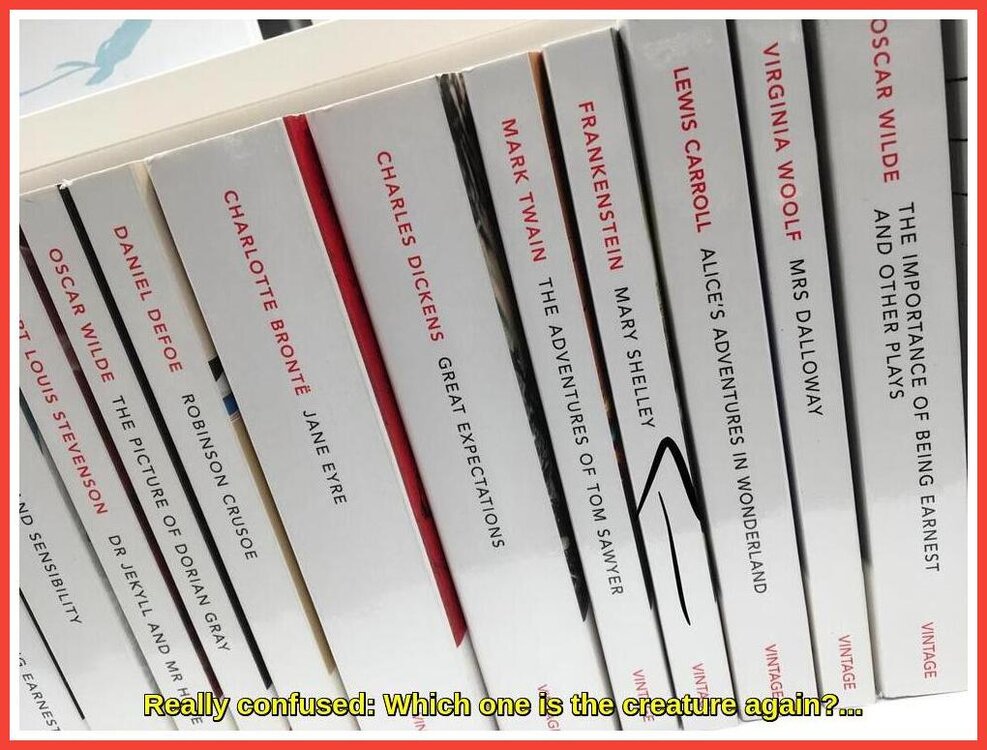 Book Spines.jpeg