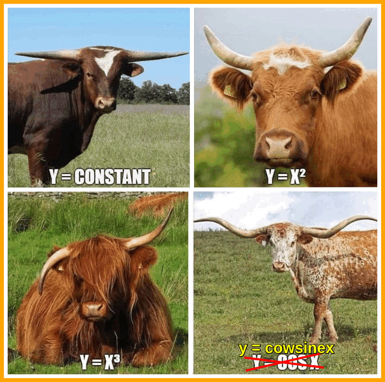 Bovine Maths.gif
