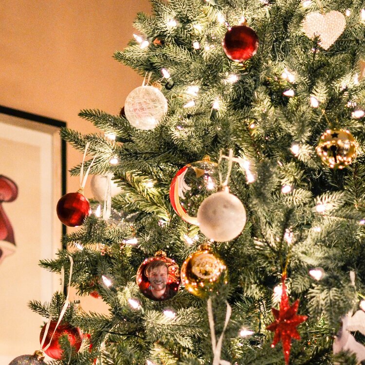 Build-Up-Image--Christmas-Tree.jpg