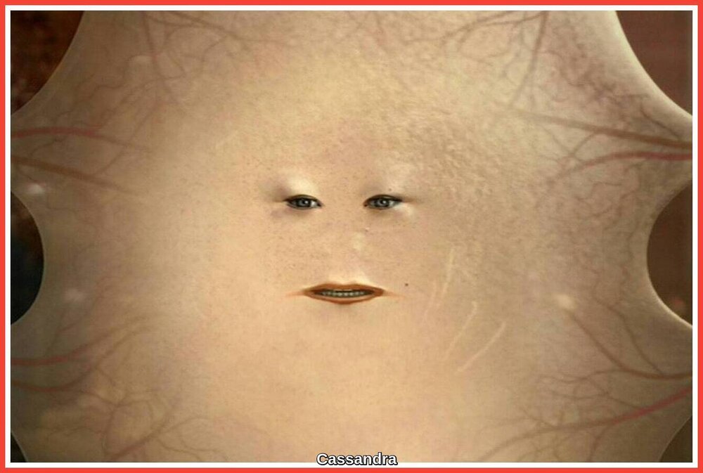 Cassandra.jpeg