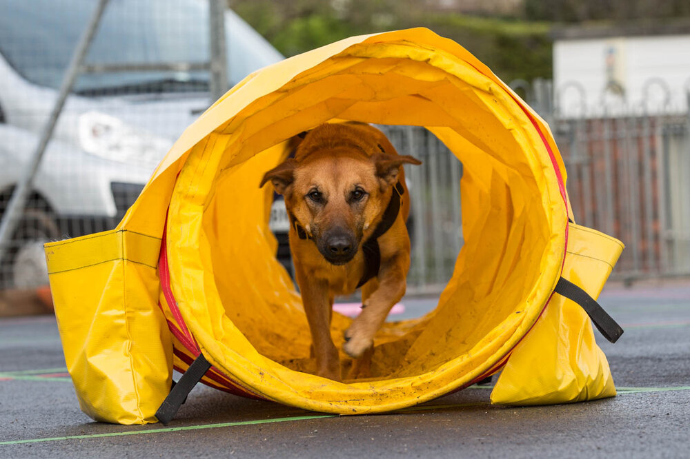 Cassie Tunnel.jpg