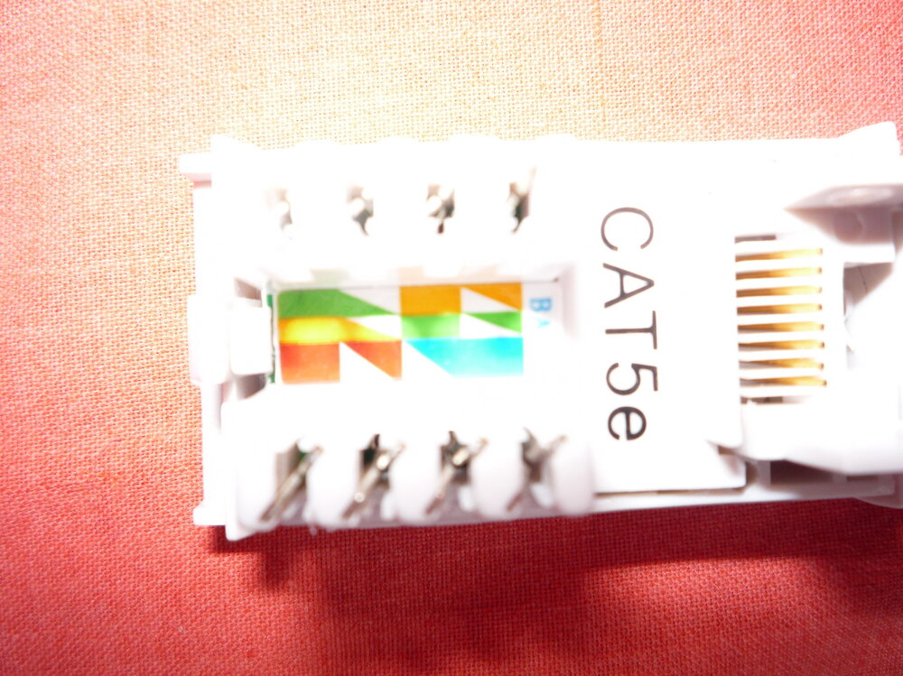 Cat5 Connection.jpg