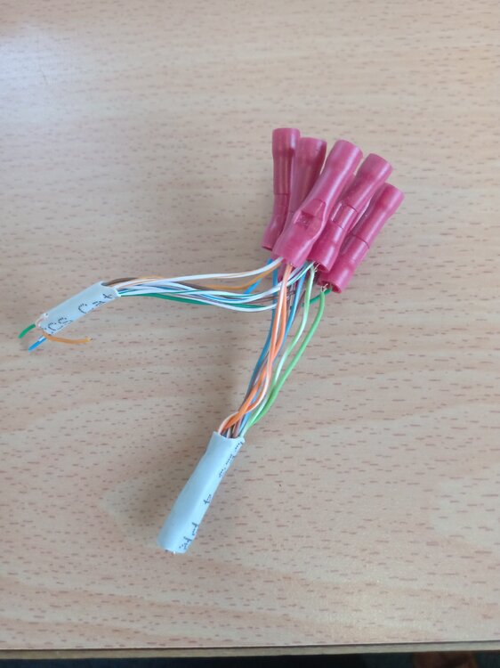 Cat 6.jpg