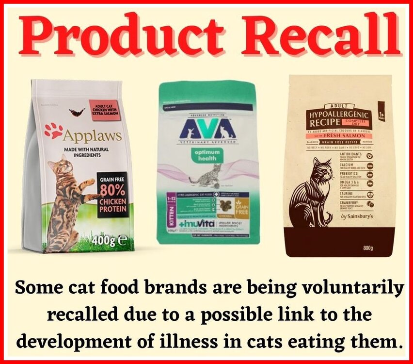 Cat Food Recall.jpg