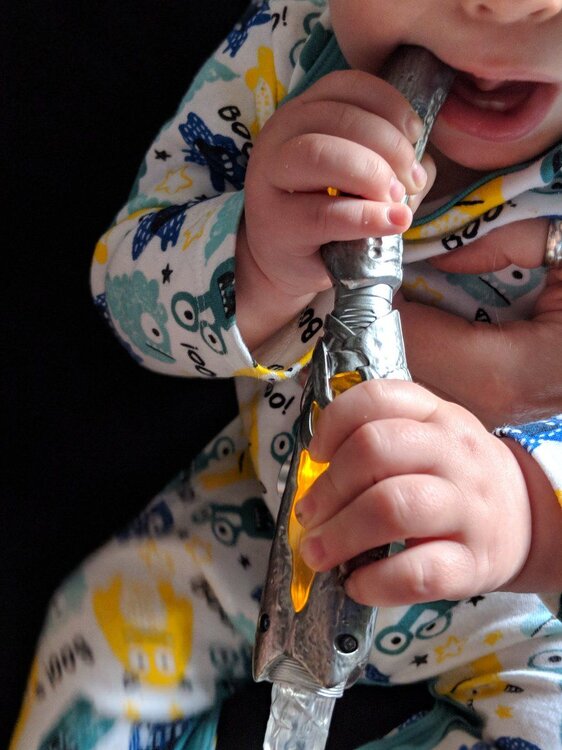 Chewed Sonic Screwdriver.jpg