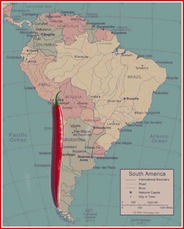 Chile on the map.jpg