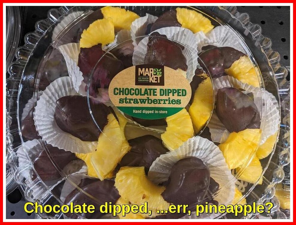 Chocolate Dipped Pineapple.jpeg