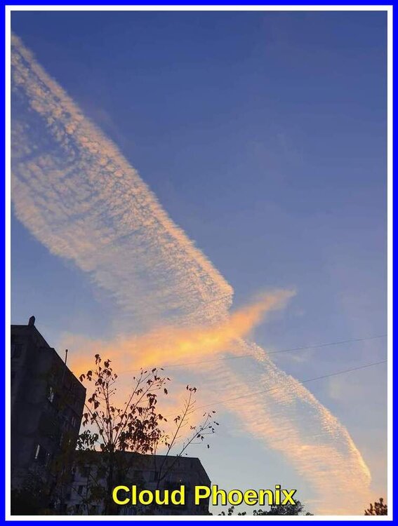 Cloud Phoenix.jpeg