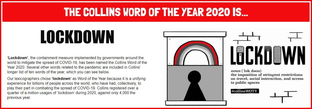 Collins Dictionary Word Of The Year 2020.jpg